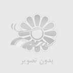 میلاد حمیدی پور